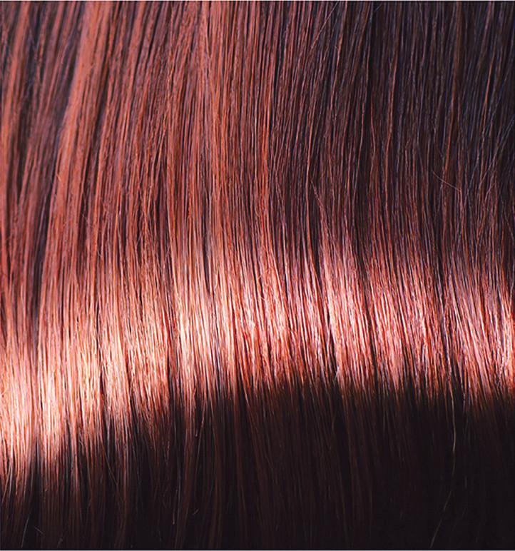 Chestnut Brown Refresher Colour Maintenance